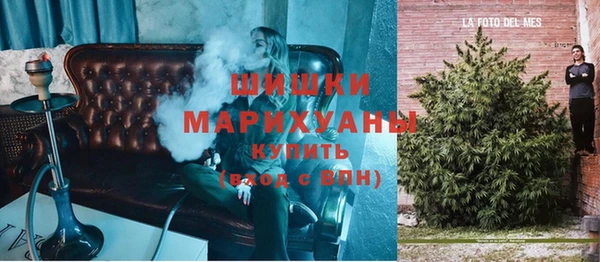 молекула духа Магас
