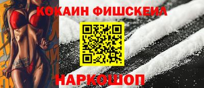 МДПВ Гудермес