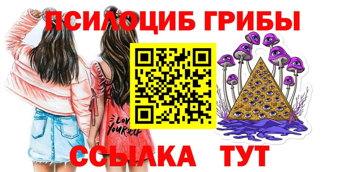 Псилоцибиновые грибы прущие грибы Моршанск