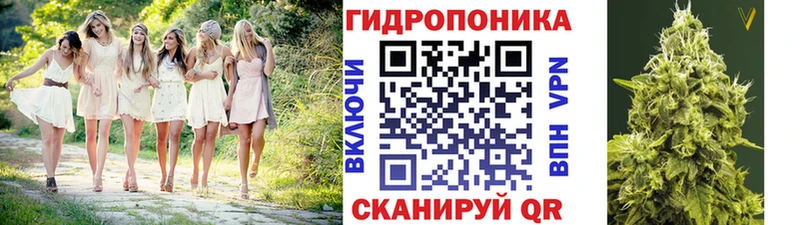 Шишки марихуана White Widow Моршанск
